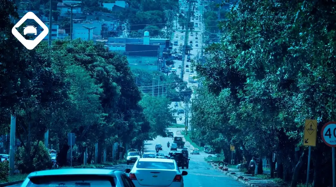 Rastreamento veicular em São Sebastião, BR-020. Link Rastreio.